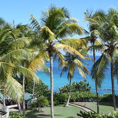 Résidence La Vieille Tour - ZENITUDE - Grand studio vue mer accès plage privative Le Gosier  Exterior foto